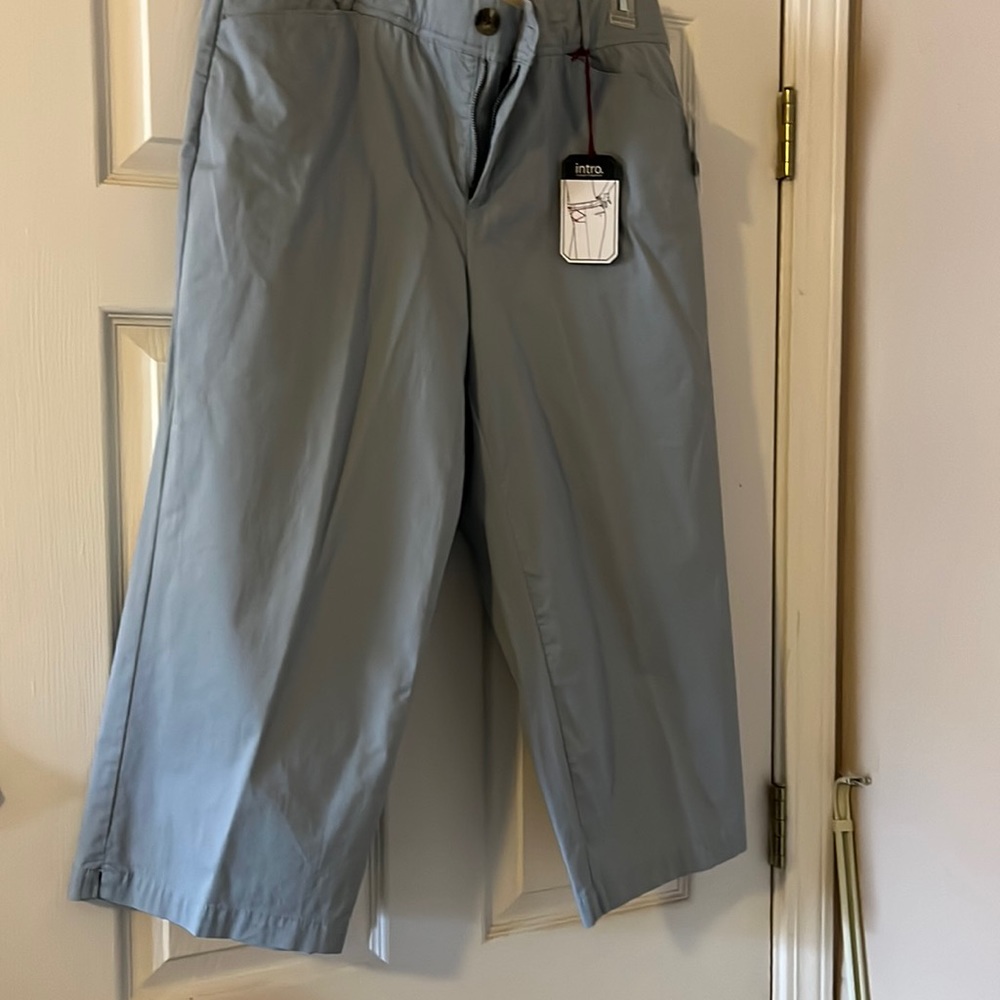 Intro Capris Pants